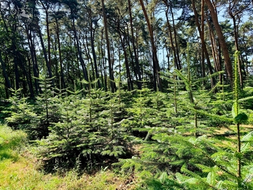 Gärtnerei