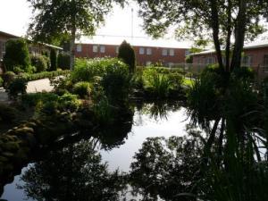 Foto, das einen Teich, umgeben von diversen Grünpflanzen, einen Blick auf das Haus 4 zeigt (Zum Artikel über die Abteilung Groß Hesepe). Suchsymbol Lupe